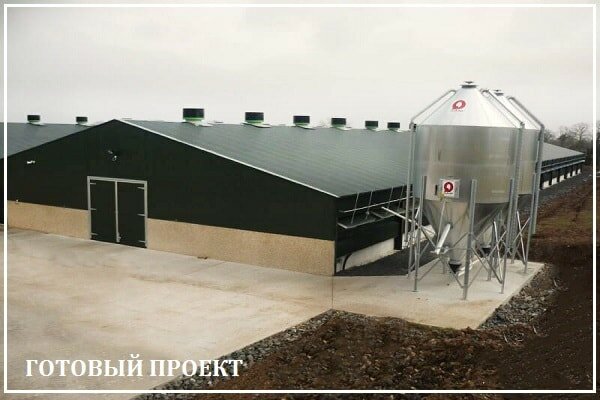 Этапы возведения птицефабрики от завода ВелесТент-рвд